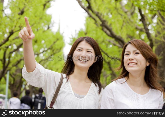 Portrait of Japanese young women