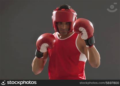 Portrait of male boxer wearing head protector and gloves isolated over gray background