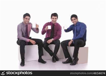 Portrait of male executives with mugs of tea