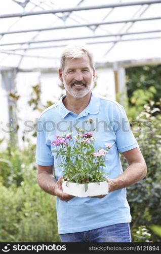 Portrait Of Male Sales Assistant At Garden Center Holding Plants