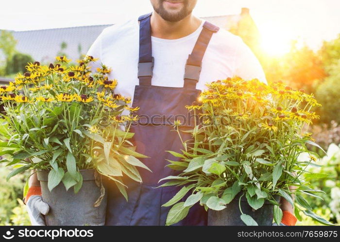 Portrait of mature male gardener carrying flowers on pot in shop