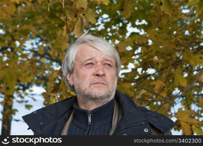 Portrait of mature serious man with grey hair in autumn day.