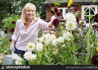 Portrait Of Mature Woman Watering Dahlia Flowers In Garden At Home