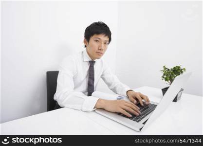 Portrait of mid adult businessman using laptop at office desk