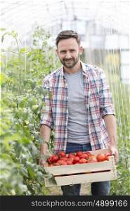 Portrait of mid adult farmer carrying tomatoes in crate at farm