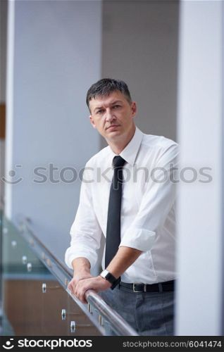 portrait of middle aged business man at modern office space indoors