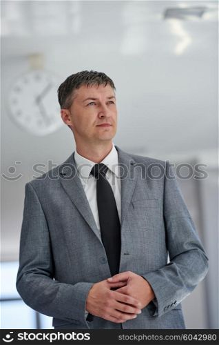 portrait of middle aged business man at modern office space indoors