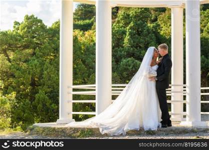 Portrait of mixed-racial newlyweds against the background of a gazebo with round columns, a girl in a lush white dress