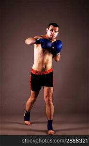 portrait of mma fighter in boxing pose on gray background