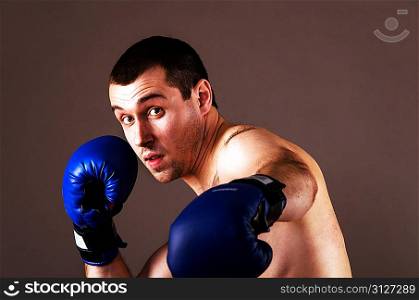 portrait of mma fighter in boxing pose on gray background