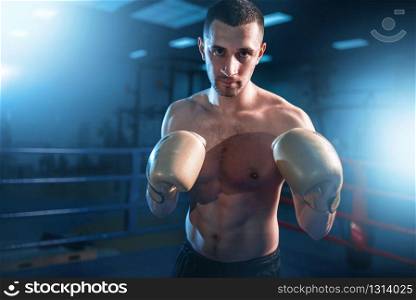 Portrait of muscular boxer in black gloves. Boxing workout, mens sport. Portrait of muscular boxer in black gloves