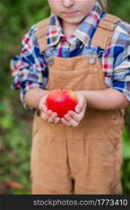 Portrait of one cute boy in a hat in the garden with a red apple, emotions, happiness, food. Autumn harvest of apples. Approving Gestures Stock Photos.. Portrait of one cute boy in a hat in the garden with a red apple, emotions, happiness, food. Autumn harvest of apples.