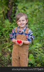 Portrait of one cute boy in a hat in the garden with a red apple, emotions, happiness, food. Autumn harvest of apples. Approving Gestures Stock Photos.. Portrait of one cute boy in a hat in the garden with a red apple, emotions, happiness, food. Autumn harvest of apples.