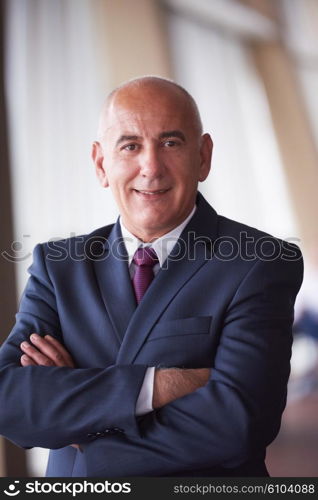 portrait of senior business man alone in modern corporate office indoors