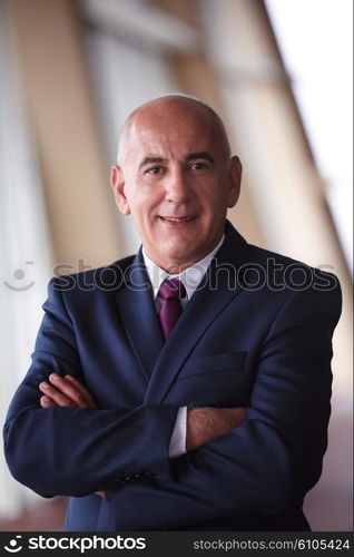 portrait of senior business man alone in modern corporate office indoors