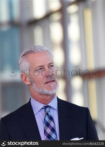 portrait of senior business man with grey beard and hair alone i modern office indoors
