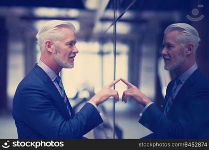 portrait of senior business man with grey beard and hair alone i modern office indoors