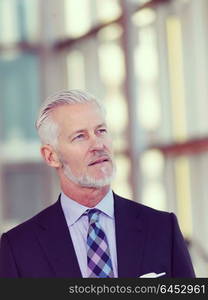 portrait of senior business man with grey beard and hair alone i modern office indoors