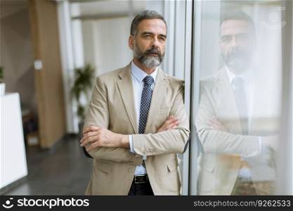 Portrait of senior businessman by the window in the office
