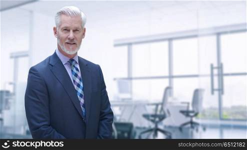 Portrait of senior businessman in front of his modern office. Senior businessman in his office