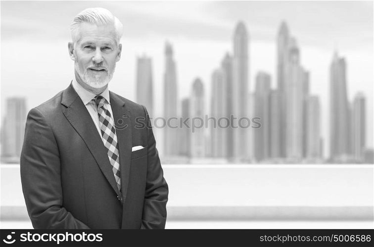 Portrait of senior businessman in front of the big city