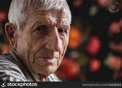 portrait of senior man looking into the camera
