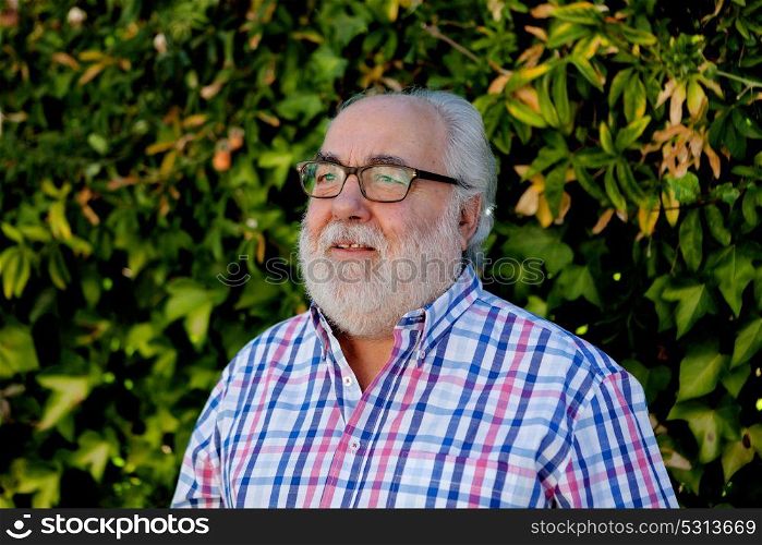 Portrait of senior man with white beard in the garden
