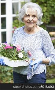 Portrait Of Senior Woman Planting Flowers In Garden
