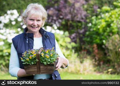 Portrait Of Senior Woman Working In Garden