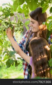 Portrait of smiling girl with mother picking green apple from tree