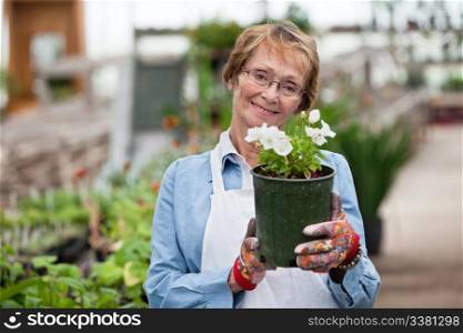 Portrait of smiling senior woman holding flower pot