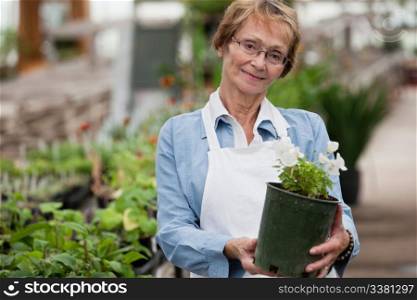 Portrait of smiling senior woman holding potted plant