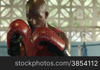 Portrait of strong black athlete on boxing ring looking at camera