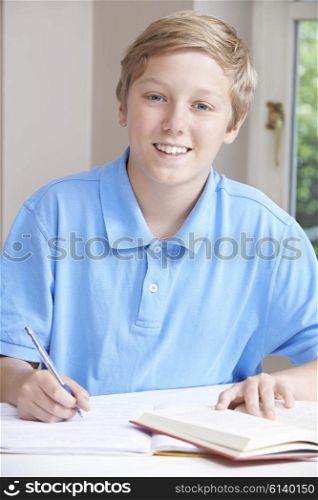 Portrait Of Teenage Boy Doing Homework At Table