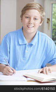 Portrait Of Teenage Boy Doing Homework At Table