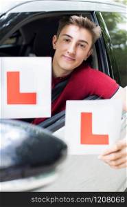 Portrait Of Teenage Boy Passing Driving Exam Holding Learner Plates