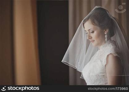 Portrait of the bride against the window.. Girl waiting for the groom at the window 3870.
