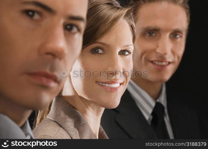 Portrait of three business executives