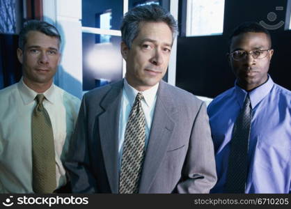 Portrait of three businessmen standing in an office