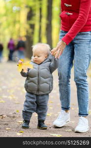 Portrait of toddler child in warm vest jacket outdoors. One year old baby boy in autumn park learning to walk with his mother