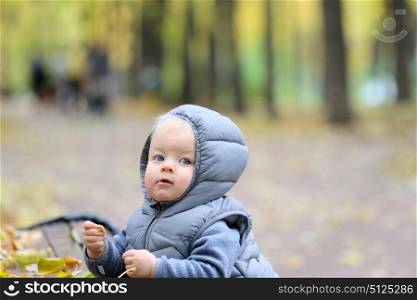 Portrait of toddler child in warm vest jacket outdoors. One year old baby boy in autumn park