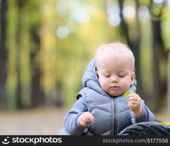 Portrait of toddler child in warm vest jacket outdoors. One year old baby boy in autumn park