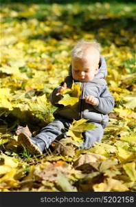 Portrait of toddler child in warm vest jacket outdoors. One year old baby boy with yellow maple leaf in autumn park