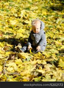 Portrait of toddler child in warm vest jacket outdoors. One year old baby boy with yellow maple leaf in autumn park