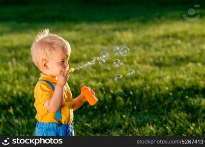 Portrait of toddler child outdoors. Rural scene with one year old baby boy blowing soap bubbles. Healthy preschool children summer activity. Kid playing outside.