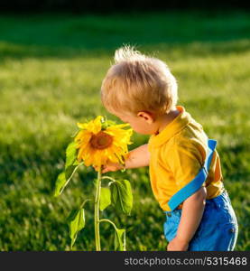 Portrait of toddler child outdoors. Rural scene with one year old baby boy looking at sunflower