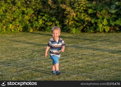 Portrait of toddler child outdoors. Rural scene with one year old baby boy running on meadow. Healthy preschool children summer activity. Kid playing outside.