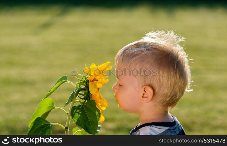 Portrait of toddler child outdoors. Rural scene with one year old baby boy looking at sunflower
