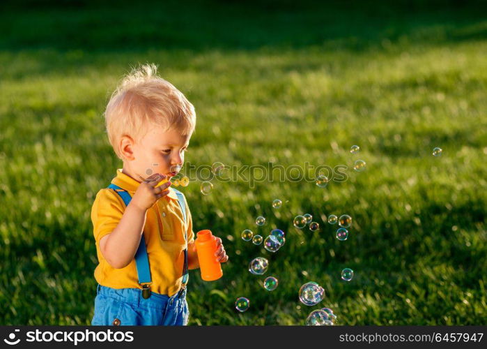 Portrait of toddler child outdoors. Rural scene with one year old baby boy blowing soap bubbles. Healthy preschool children summer activity. Kid playing outside.