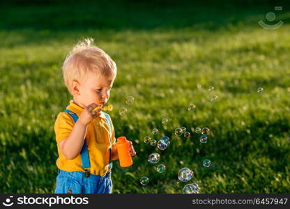 Portrait of toddler child outdoors. Rural scene with one year old baby boy blowing soap bubbles. Healthy preschool children summer activity. Kid playing outside.